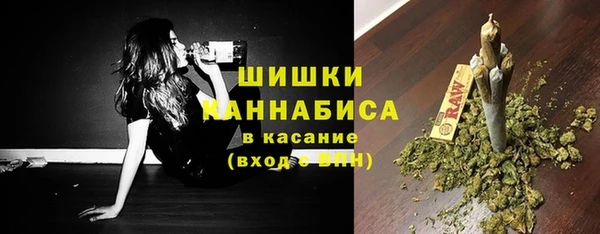 эйфоретик Каменка