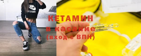 сатива Каменногорск