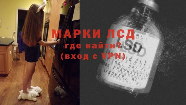 сатива Каменногорск